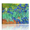 Canvas Prints Irises By Van Gogh Famous Flowers Oil Paintings
