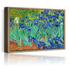 Canvas Prints Irises By Van Gogh Famous Flowers Oil Paintings