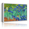 Canvas Prints Irises By Van Gogh Famous Flowers Oil Paintings