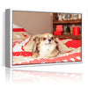 Personalized Canvas with Pictures Print for Wall Art