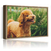 Personalized Canvas with Pictures Print for Wall Art