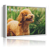 Personalized Canvas with Pictures Print for Wall Art