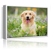 Personalized Canvas with Pictures Print for Wall Art