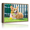 Personalized Canvas with Pictures Print for Wall Art
