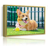 Personalized Canvas with Pictures Print for Wall Art