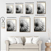 Set of 3 Black White Dandelion Inspirational Quote Framed Wall Art Prints