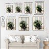 Set of 3 Sage Green Boho Abstract Face Leaf Geometric Framed Wall Art Prints