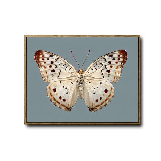 Neutral Butterfly Canvas Poster, Vintage Natural History Insect Artwork for Cottage Office Gallery Wall Decoration