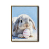 Grey Lop Bunny with Pink Striped Easter Egg Canvas Wall Art