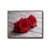 Valentine Two Red Roses Canvas Wall Art, Dewy Red Roses on Rustic White Wood Plank Framed Canvas Print, Romantic Bedroom Farmhouse Wall Decor