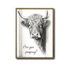 Funny Highland Cow Are You Pooping Canvas Wall Art Farmhouse Bathroom Decor