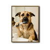 Whimsical German Shepherd Bathroom Poster, Dog Brushing Teeth At Sink Print, Fun Wall Art for Dog Lovers