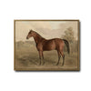 Vintage Brown Horse Antique Landscape Framed Wall Art Print
