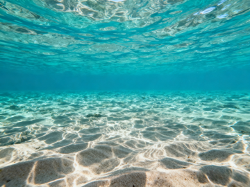 Sea