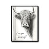 Funny Highland Cow Are You Pooping Canvas Wall Art Farmhouse Bathroom Decor