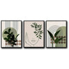 Set of 3 Sage Green Boho Abstract Face Leaf Geometric Framed Wall Art Prints