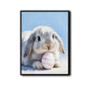 Grey Lop Bunny with Pink Striped Easter Egg Canvas Wall Art