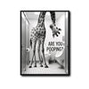 Black White Giraffe Are You Pooping Funny Quote Canvas Wall Art Humorous Animal Bathroom Wall Decor