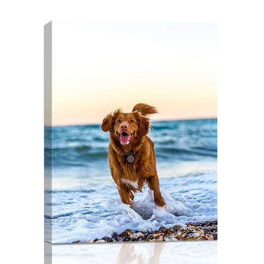 Custom Canvas Prints with Your Photos for Pet/Animal, Personalized Canvas Pictures for Wall to Print Framed