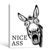 Funny Donkey Nice Ass Canvas Wall Art Humorous Farmhouse Bathroom Decor