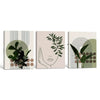 Set of 3 Sage Green Boho Abstract Face Leaf Geometric Framed Wall Art Prints