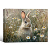 Wild Rabbit Daisy Meadow Canvas Wall Art