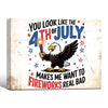 You Look Like The 4th Of July Bald Eagle Canvas Wall Art, Funny Patriotic Eagle Fireworks Canvas Print, Retro Distressed Independence Day Farmhouse Decor