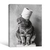 Black White Tabby Cat With Toilet Paper Roll On Head Canvas Wall Art Funny Animal Bathroom Wall Decor For Cat Lovers