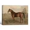 Vintage Brown Horse Antique Landscape Framed Wall Art Print