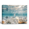 Underwater Seashell & Coral Canvas Print, Sunlight Ocean Coastal Horizontal Wall Art