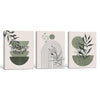 Set of 3 Sage Green Boho Abstract Leaf Geometric Arch Framed Wall Art Prints