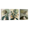 Boho Sage Green Eucalyptus 3 Panel Botanical Wall Art