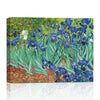 Canvas Prints Irises By Van Gogh Famous Flowers Oil Paintings