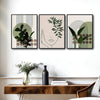 Set of 3 Sage Green Boho Abstract Face Leaf Geometric Framed Wall Art Prints
