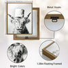 Funny Highland Cow Toilet Paper Hat Canvas Wall Art Farmhouse Bathroom Decor