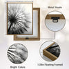 Set of 3 Black White Dandelion Inspirational Quote Framed Wall Art Prints