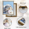 Grey Lop Bunny with Pink Striped Easter Egg Canvas Wall Art