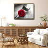 Valentine Single Red Rose Canvas Wall Art, Selective Color Red Rose on Rustic Grey Wooden Plank Framed Canvas Print, Romantic Farmhouse Bedroom Decor