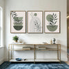 Set of 3 Sage Green Boho Abstract Leaf Geometric Arch Framed Wall Art Prints