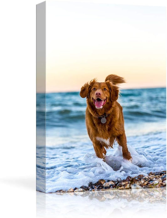 Custom Canvas Prints with Your Photos for Pet/Animal, Personalized Canvas Pictures for Wall to Print Framed