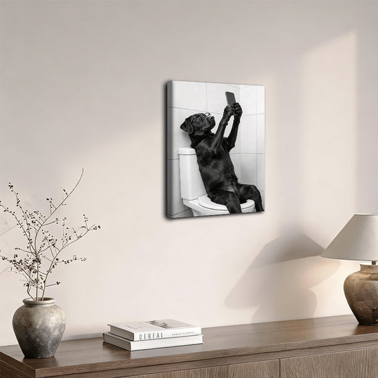 funny-donkey-nice-ass-bathroom-wall-art